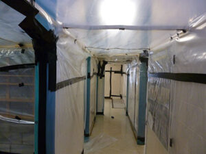 Asbestos vinyl floor removal